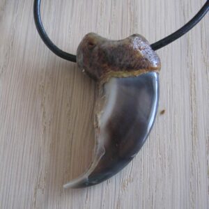 Polar Bear Claw Necklace - 983