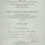 The Marine Mammals