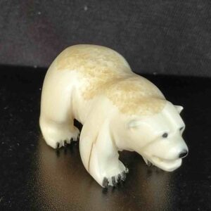 Polar Bear - 234