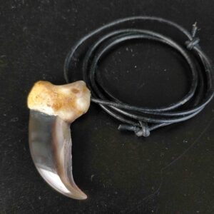 Polar Bear - Necklace - 1234