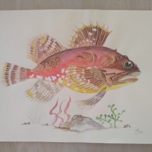 Mina Benjaminsen - Rødfisk