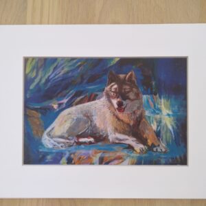 Miki Jacobsen - sleddog