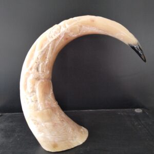 Musk Ox Horn - 353