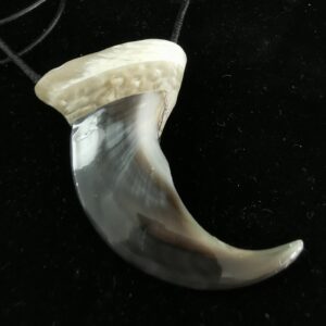 Polar Bear Claw - 1258