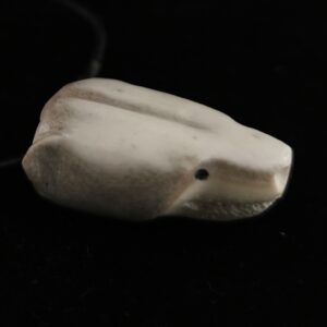 Polar Bear Head - 1259