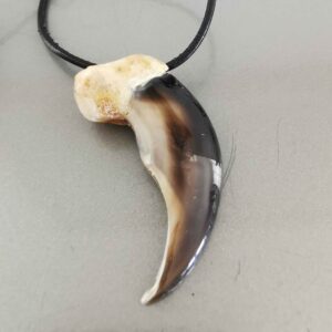 Polar Bear claw - Necklace - 1254