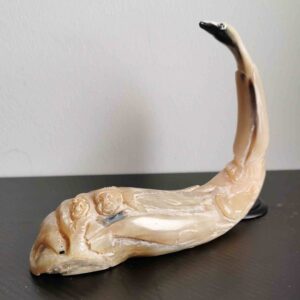 Musk Ox Horn - 354