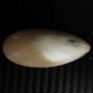 Musk Ox Horn - Necklace - 1331