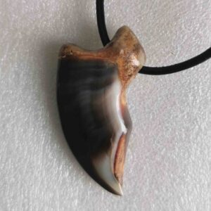 Polar Bear Claw - Necklace - 1323