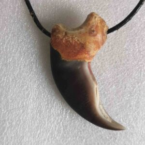 Polar Bear Claw - Necklace - 1321