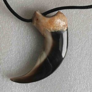 Polar Bear Claw - Necklace - 1320