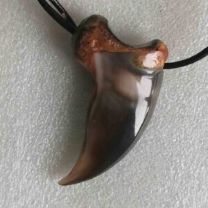 Polar Bear Claw - Necklace - 1324