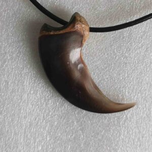 Polar Bear Claw - Necklace - 1322