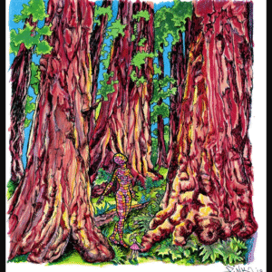 Lady Pink - Brick Lady in Redwood forest